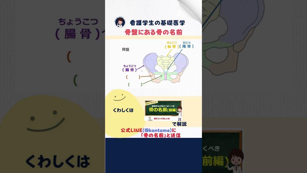 【看護師国家試験対策】骨についての問題解説  #看護師国家試験  #試験対策 #看護学生 #看護師  #病態生理 #骨 #骨盤