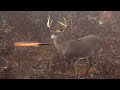 15 Archery Shots in 15 Minutes!  (EPIC Bowhunting Highlights)