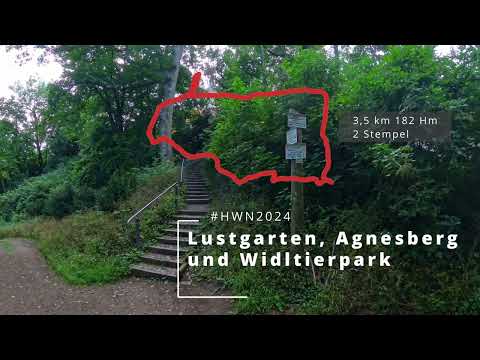 Kurze & knackige Wanderung: Auf den Agnesberg. Traumhafter Blick über das Schloss Wernigerode #harz