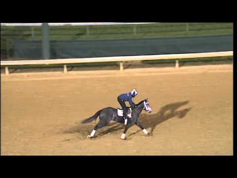 Dreaming of Julia 0501