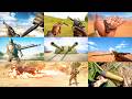 Battlefield 1 All Weapon Animations