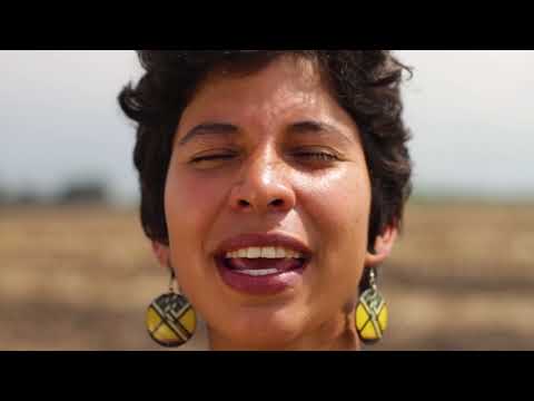 OFFICIAL VIDEO Malo Viento (feat Nidia Gongora)