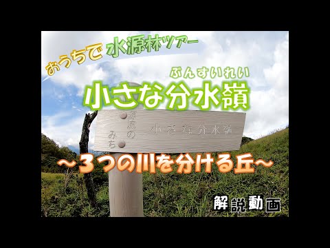 【おうちで水源林ツアー】 小さな分水嶺 ～3つの川を分ける丘～