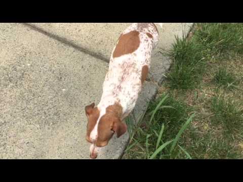 Roller Skating With My Sister And Her Friend:P