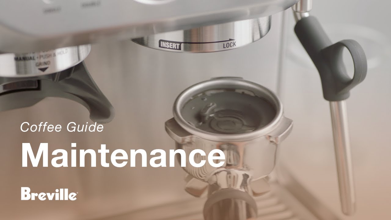 How to perform a cleaning cycle