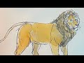 How To Draw a Lion l #DrawWithDisneyAnimation