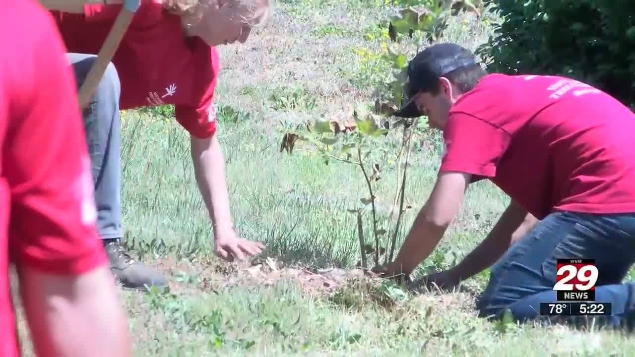 Van Yahres Tree Company, ReLeaf Cville re-visit 2024 Arbor Day trees