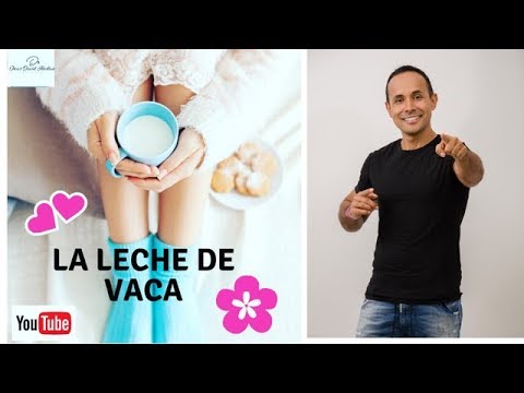 la leche de vaca es buena o mala ?