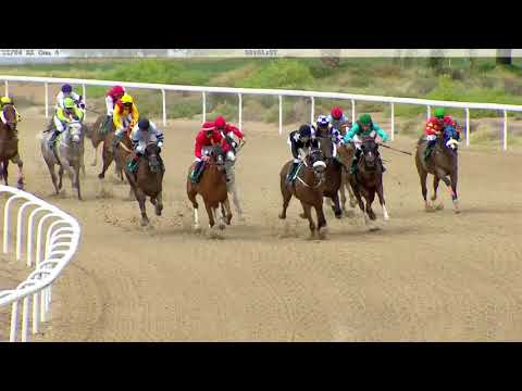Wathba Stallions Cup 1600 mts 11 04 2019