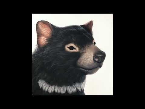 IA Samplers: “Tasmanian Devil” by Ben Clifford
