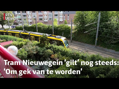 Van smeerolie tot wieldempers: dé oplossing is er nog niet | RTV Utrecht
