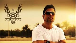 Download lagu DJ Aligator  - My Compilation mp3