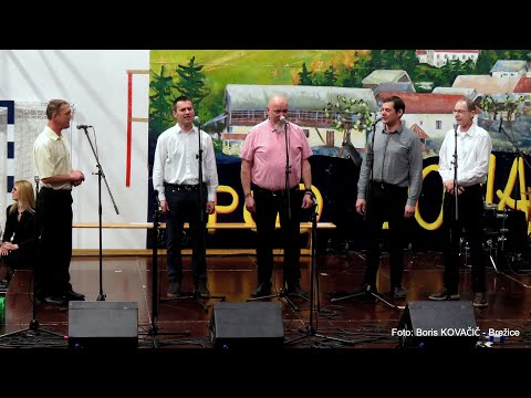 Koledniki iz Rake - Domača hiša (acapella v živo)