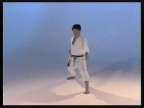 Kata Taikyoku Shodan