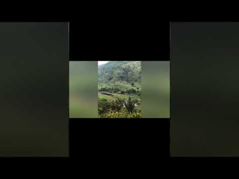 100 alq.valor 60 mil por alq.doc.CAR Gel título no Pará Município Cumaru do Norte  zap.91982165639