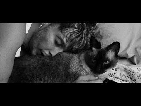 AYAX - EL IDIOMA DE LOS DELFINES