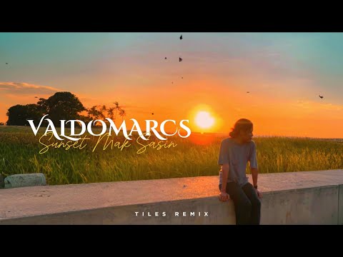 T REX - Sunset Mak Sasin, VALDOMARCS (REMIX)