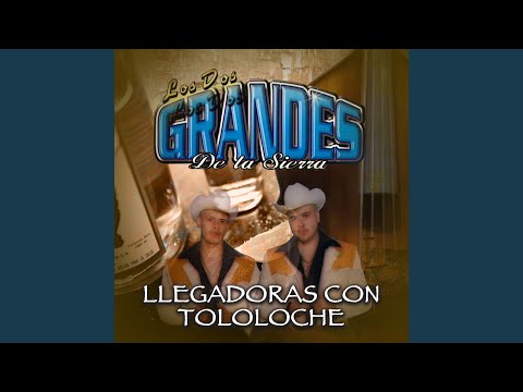 El Vino y el Perico (Tololoche)