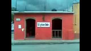 preview picture of video 'Cheleria El planton Calpulalpan Tlaxcala'