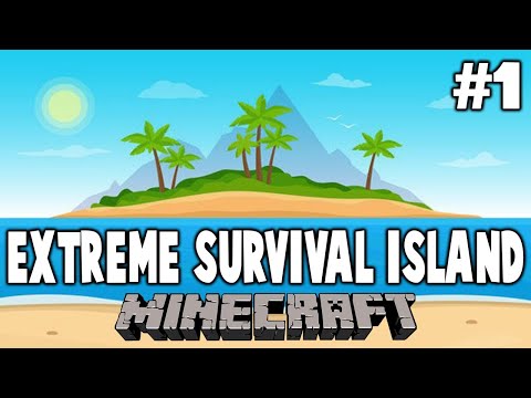 2 Pixel Bros - Dumb and Dumber play EXTREME SURVIVAL ISLAND (Minecraft CTM Map)(1)