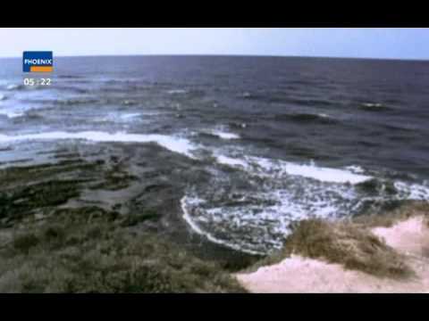 Kleopatras versunkener Palast - 2/3 - Die Suche nach einer Legende