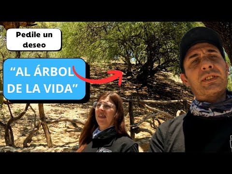 🏍️ Viaje en moto por el Bajo de Véliz, Santa Rosa del Conlara y Cortaderas | San Luis.