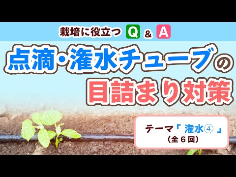 家庭用自動点滴散水およびマルチングシステムの作り方