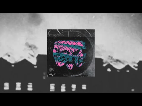 FLOWERMANSION x SKUNKZ - THE BURNING DESIRE TO DISPLAY THE INSIDE OF MY BRAINS... [VISUALISER]