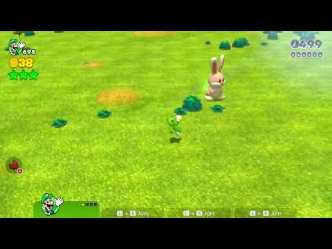 SM3DW (Switch) 11-5 Speedrun | Time: 19