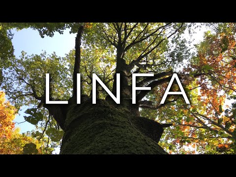 1503-IT Jessica, LINFA - Ipnosi Esoterica ∞ Lucio Carsi