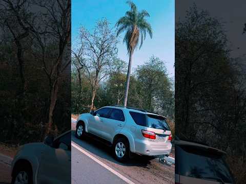 Pegando coquinho#shortsvideo #shorts #campograndems #ms#aquidauana #matogrossodosul##fy #fly #fypシ゚