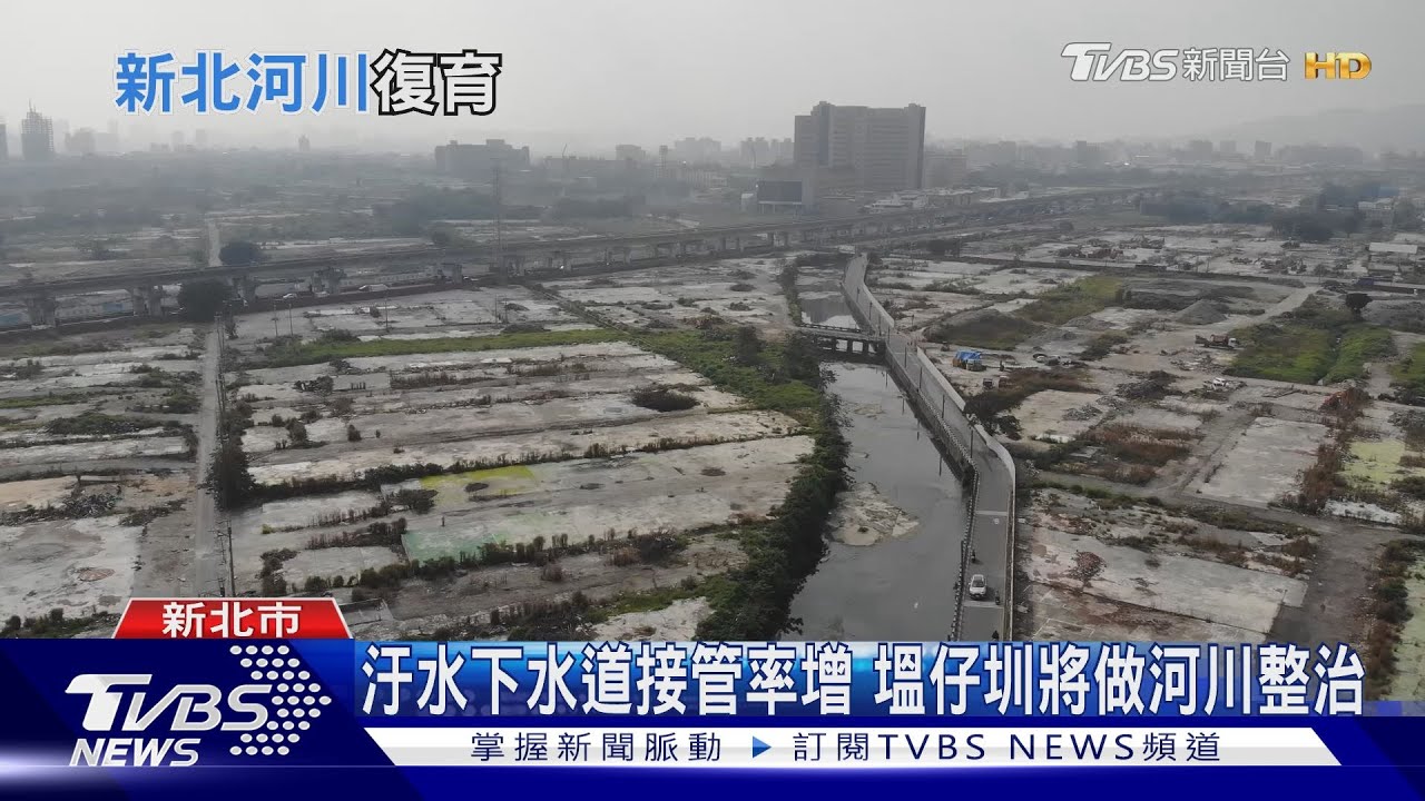 絕跡多年小毛蟹現蹤!清除垃圾山、違章工廠 新北水環境再現生機