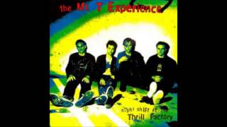 Mr  T experience   go away