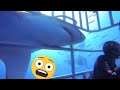 ULTIMATE SHARK ATTACK COMPILATION Captured By GoPro