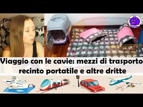 Trattamento di lattazione di vermi Rimedi di gente da helminths di lyambliya