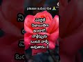 Best Inspirational Quotes In Telugu Sukthulu Manchi Matalu