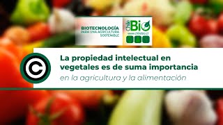 Chilebio: La propiedad intelectual en vegetales es de suma importancia