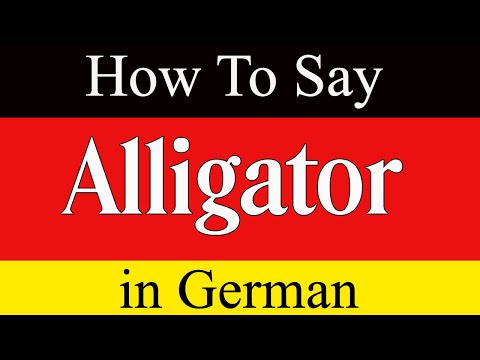 Learn German & How To Say "Alligator" in German | German Lessons