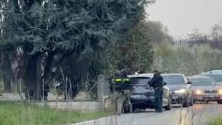 Il blitz della polizia a Vignola: uno dei rapinatori prova a nascondersi sull'albero