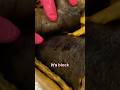 Our Most Common Request Show Us Smokers Lungs