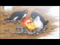 Пингвины 
