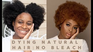 HOW to DYE Natural Hair WITHOUT BLEACH || Simple, Quick & Easy
