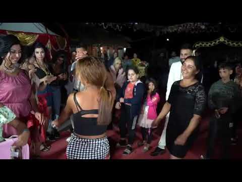 ork tri zvezdi kucheka gum tek s zurnata ot asen iliev gr banq