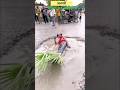 Ashish Nandan Ka Bol Bam Gana Bosong 2025 Funny Comedyshorts Comedyshoankitjackrts Bol Bam