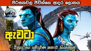 Avatar (2009) Film Explained in sinhala sinhala mo