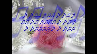 David Gates ➖ Lady Valentine