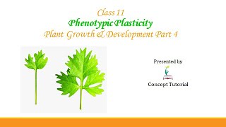 Phenotypic Plasticity | Plant Growth and Development (Part 4) | Class 11