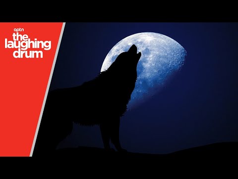 download lagu mp3 mp4 Quotes About Exploring With Friends, download lagu Quotes About Exploring With Friends gratis, unduh video klip Quotes About Exploring With Friends