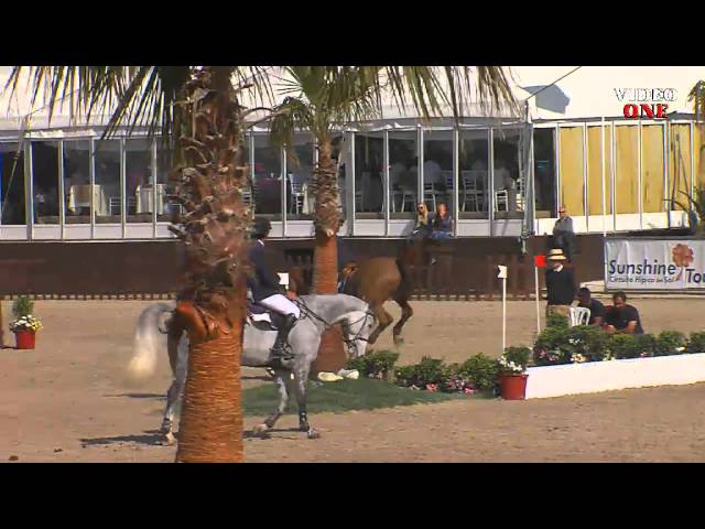 The half-sister of tthe mother of his Frozen Embryo is the CSI 1.55m Fleur de Kalvarie with rider Gregory Whatelet.