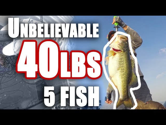 Back to Back 40lbs Bags Fishing Bass~ What Just Happened!?!